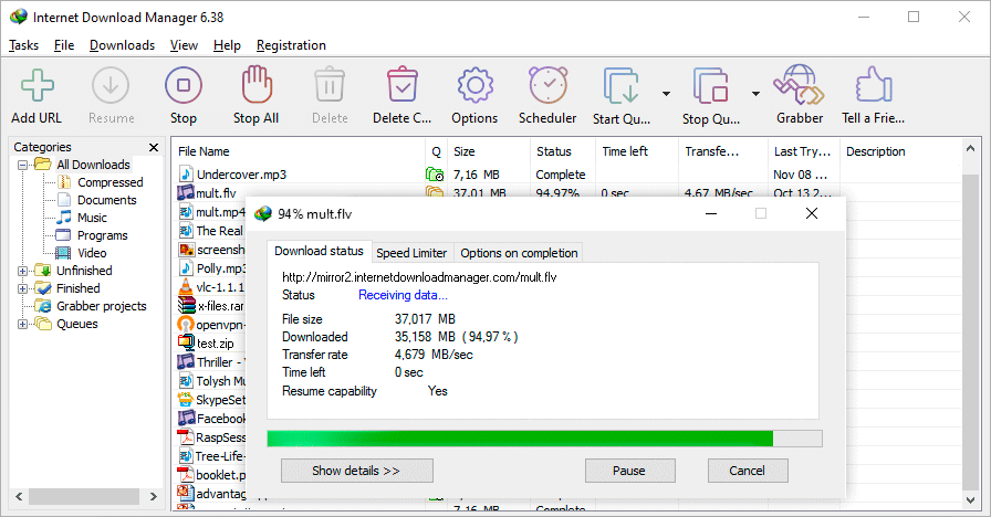 Internet Download Manager v6.42 Build 40 