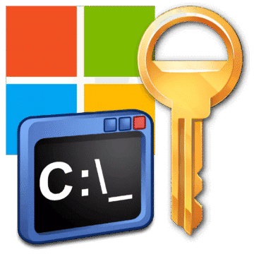 Microsoft Activation Script 3.3