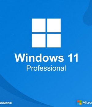 Windows 11 Professional Preactivated