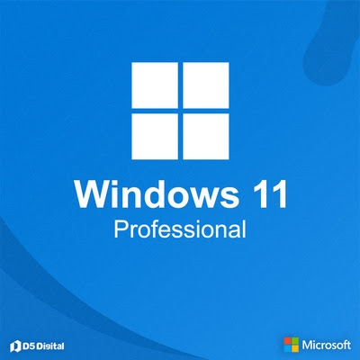 Windows 11 Professional Preactivated
