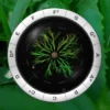 Sonic Charge Synplant v2.0.2 for MacOS