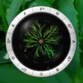 Sonic Charge Synplant v2.0.2 for MacOS