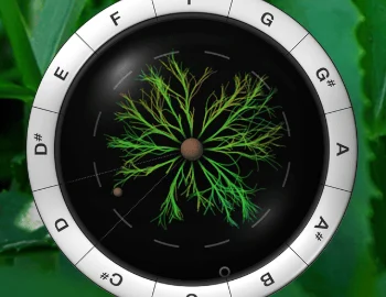 Sonic Charge Synplant v2.0.2 for Windows