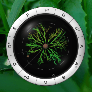 Sonic Charge Synplant v2.0.2 for Windows