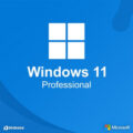 Windows 11 Professional