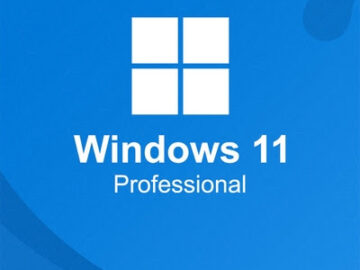 Windows 11 Professional